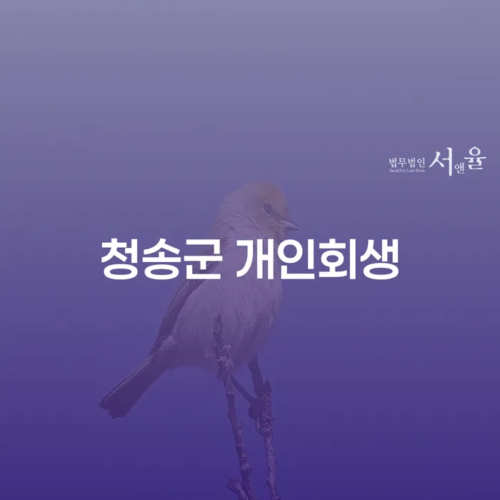 채무 독촉에서 벗어나기 위한 청송군 개인회생의 모든 것